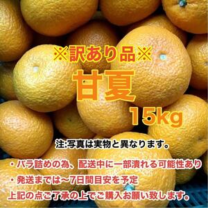 e12愛媛産甘夏 15kg〈訳あり家庭用〉