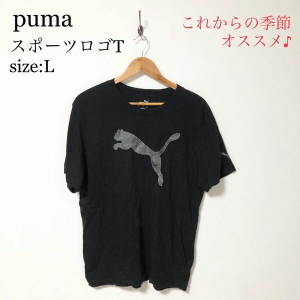 puma プーマ　スポーツロゴT size: L