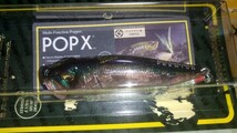 Megabass POP-X(SP-C)No. 262 KIKYOU Megabass PREMIUM限定品 _画像3