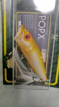 Megabass POP-X(SP-C)No. 250 ALBINO MegabassPREMIUM 限定品 _画像5