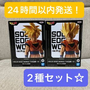 【箱開封品】ドラゴンボール 孫悟飯 SOLID EDGE WORKS 2種セット