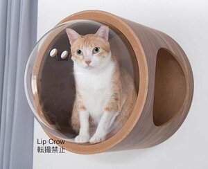  natural tree cosmos cat walk cat cat step bed house wall attaching 