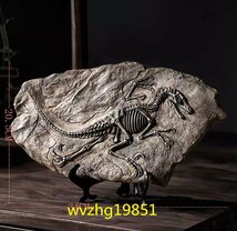 LHH773★種類多数 3D 恐竜 化石 彫刻 インテリア 装飾 レトロ 骨 おしゃれ アンティーク 置物_画像7