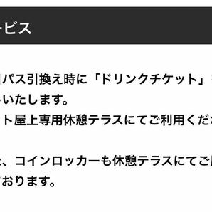 【限定品】2024 スーパーGT第2戦 富士 テラスパドックパス 1枚（グリッドウォーク付）の画像5