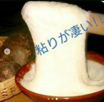 最強の粘りときめ細かさ。濃厚食感