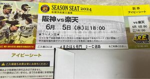 阪神タイガース 甲子園　6/5 vs楽天イーグルス　アイビーシート1枚　※説明文必ずお読みください