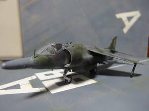  Area 88 Kim as Ran out person squad Harrier MK3 Hasegawa 1/72 painting final product Kim aba