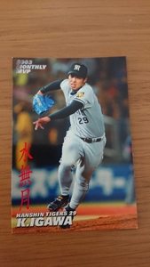 2004 カルビー プロ野球カード プロ野球チップス 井川慶 (M-11)