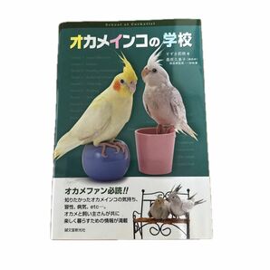 オカメインコの学校