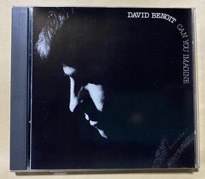 DAVID BENOIT/CAN YOU IMAGINE 輸入盤