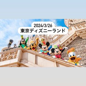 オンラインショッピング用 ディズニーランド 3/26入園