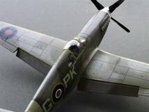 1/48 SCALE NORTH AMERICAN RAF MUSTANG Ⅲ 完成品_画像8