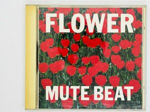 即決CD 旧規格 Mute Beat ミュート ビート Flower フラワー / こだま和文 屋敷豪太 3200円盤 消費税表記無し D32Y0117 Z22