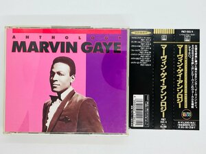 即決2CD MARVIN GAYE ANTHOLOGY / マーヴィン・ゲイ・アンソロジー 帯付き POCT-1513/4 Z48
