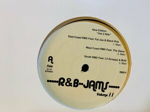 即決LP New Edition / Hot 2 Nite / R&B JAMS Volume 11 / East Coast RMX Feat Fat & Black Rob L25