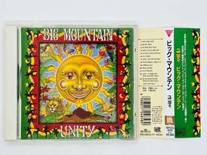 即決CD ビッグ・マウンテン ユニティ / Big Mountain / Unity / 帯付き BVCG-628 W06