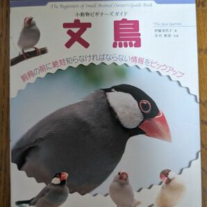 動物ビギナーズガイド　文鳥