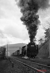 【鉄道写真】D52 363 東海道本線貨レ（後補機8620形式） [0004412]