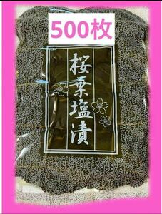 桜葉塩漬　塩漬け桜葉　桜葉塩漬け　塩漬桜葉 500枚　業務用　桜餅　さくらもち 　桜蒸し　鯛の桜蒸し　道明寺蒸し　長命寺　道明寺 メズラ