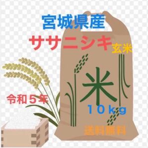 宮城県産ササニシキ　令和５年玄米１０ｋｇ　送料無料