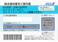 送料無料　2枚セットANA株主優待券　2024年5月末まで