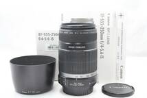 ★【限定！美品 純正レンズフード付き】 Canon EF-S55-250mm F4-5.6 IS ★ 手振れ補正付き _画像1