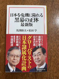 日本を危機に陥れる　黒幕の正体　最新版　　馬渕睦夫松田学　　定価９９０円　　中古品