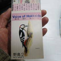 昭和レトロ　カセットテープ　野鳥　4ケ　日本野鳥の会札幌支部　ミュージックあんとん　確認せず　古道具やi (アイ)_画像4