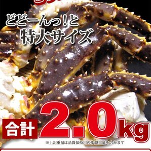 【1個出品】特大生 タラバガニ 蟹の王様5L 2kg さんきん1円の画像5