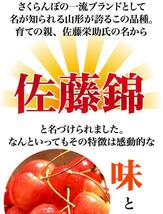 10個出品 ご予約 訳あり 色薄 山形県産 さくらんぼ 佐藤錦 サイズ 不定 1kg 産地直送 6月末から順次出荷 さんきん1円_画像2