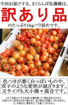 10個出品 ご予約 訳あり 色薄 山形県産 さくらんぼ 佐藤錦 サイズ 不定 1kg 産地直送 6月末から順次出荷 さんきん1円_画像5