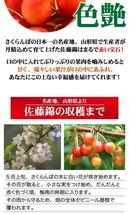 10個出品 ご予約 訳あり 色薄 山形県産 さくらんぼ 佐藤錦 サイズ 不定 1kg 産地直送 6月末から順次出荷 さんきん1円_画像3