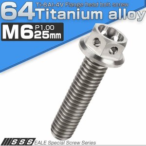 64チタンボルト M6×25mm P1.00 ホールヘッド 六角ボルト フランジ付き六角ボルト チタン原色 Ti6Al-4V JA784