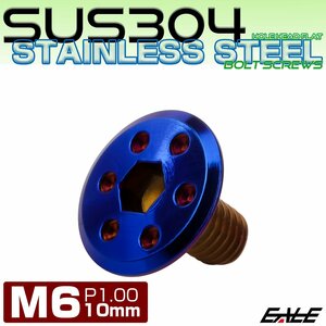 ステンレスボルト M6×10mm P1.0 ホールヘッド フラット 六角穴付 ボタンボルト SUS304 焼きチタンカラー TR0977