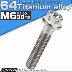 64チタンボルト M6×30mm P1.00 ホールヘッド 六角ボルト フランジ付き六角ボルト チタン原色 Ti6Al-4V JA787