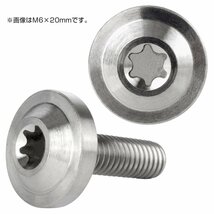 64チタン M6×16mm P1.0 ボタンボルト フランジ径16mm トルクス穴 シルバー チタンボルト デザインボルト JA655_画像2