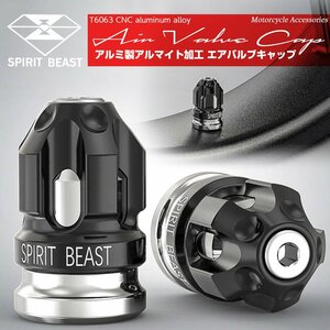 汎用 エアバルブキャップ ハイデザイン シルバー 2個入り タイヤ ホイール バルブキャップ T6アルミ削り出し 米式バルブ用 S-184S