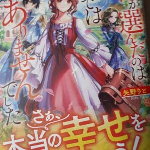 あなたが選んだのは私ではありませんでした　裏切られた私、ひっそり姿を消します （レジーナブックス） 矢野りと／〔著〕