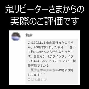 フェザージグ 高機能ちりぢりヤーンで巻きました 0.5g 3色 淡水でも海でも実績あり エリアトラウト アジング メバリング ライトウィングの画像5