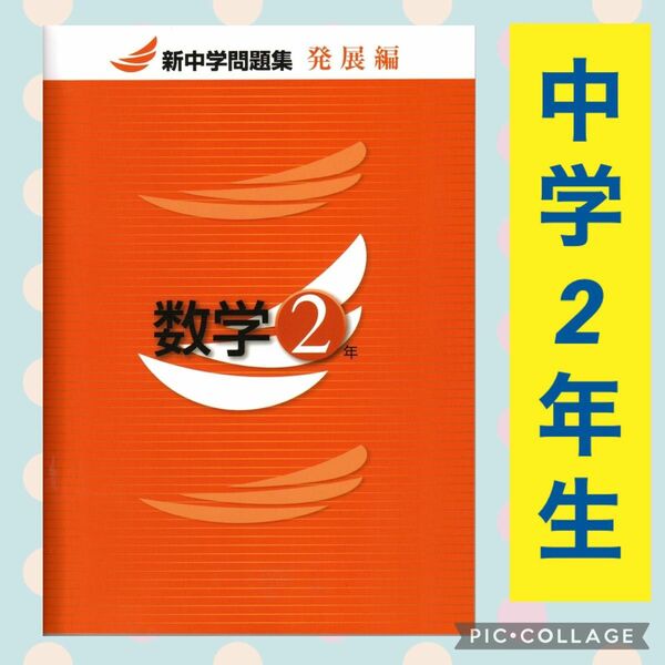 教育開発出版 新中学問題集 数学 中2 発展編 ハイレベル 難関 受験 高校受験 入試 高校入試 中学生 Progress 中二