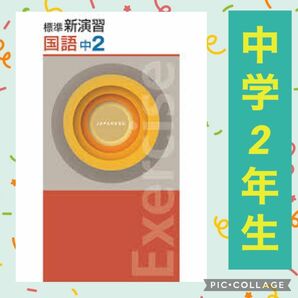 標準新演習 国語 中2 確認テスト Progress 中二 解答 定期テスト 中学 問題集 テキスト 新中学 発展 現代文 古文