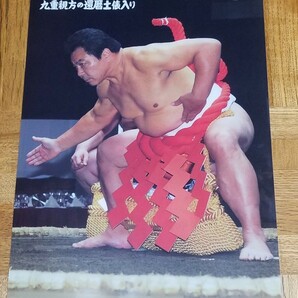 未使用大相撲 横綱 直筆サイン 日馬富士 千代の富士 白鵬 クリアファイルの画像2