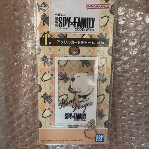 スパイファミリー　一番くじ　アクリルカードチャーム　ボンド SPY FAMILY