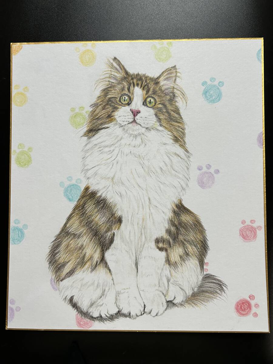 [Hand-drawn illustration] Norwegian Forest Cat Cat Colored Pencil Drawing Colored Paper, comics, anime goods, hand drawn illustration