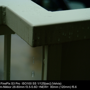 [出品個体での作例あり] 富士フイルム FinePix S3 Pro, Ai AF Zoom-Nikkor 28-80mm f3.5-5.6D の画像7