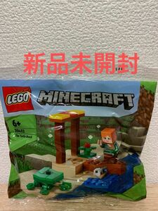 LEGO マインクラフト　30432