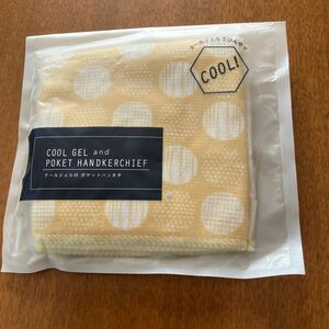  new goods unused! cool gel attaching pocket handkerchie 