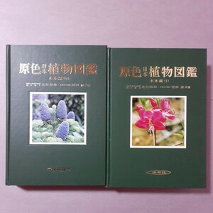 原色日本植物図鑑　木本編１ （保育社の原色図鑑　４９） （改訂版） 北村四郎／共著　村田源／共著