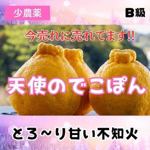 ゼリー食感！とろりと甘い! ！B級の天使のデコポン 5kg 不知火 和歌山