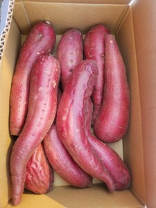  silk sweet 5 kilo one box. sweet potato!